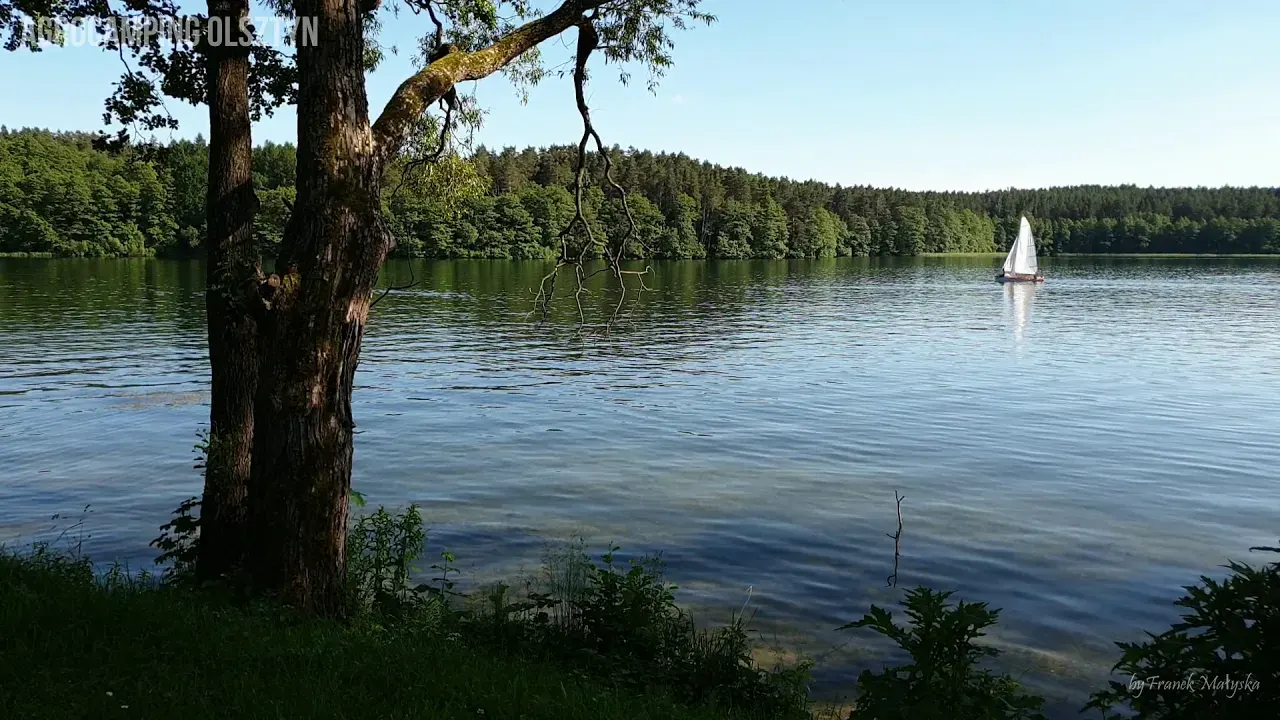 Standbild aus dem Film: der Ukiel-See mit einem Segelboot, Wald am gegenüberliegenden Ufer und ein Baum im Vordergrund