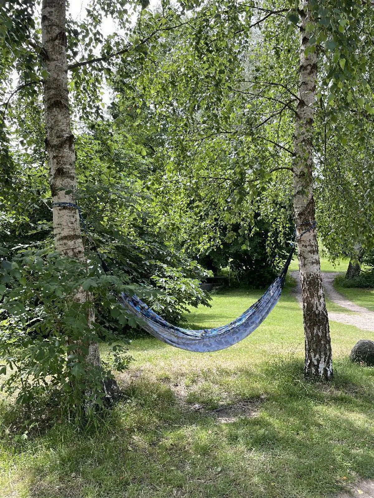 Blaue Hängematte zwischen Birken auf einer grünen Campingwiese